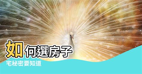 坐西南向東北風水|房屋方向風水指南：探索8大黃金方位朝向優缺點，找出適合您的。